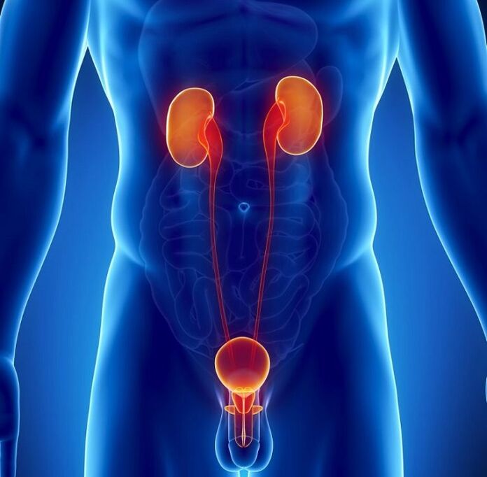 katere kronične bolezni lahko vplivajo na moško moč